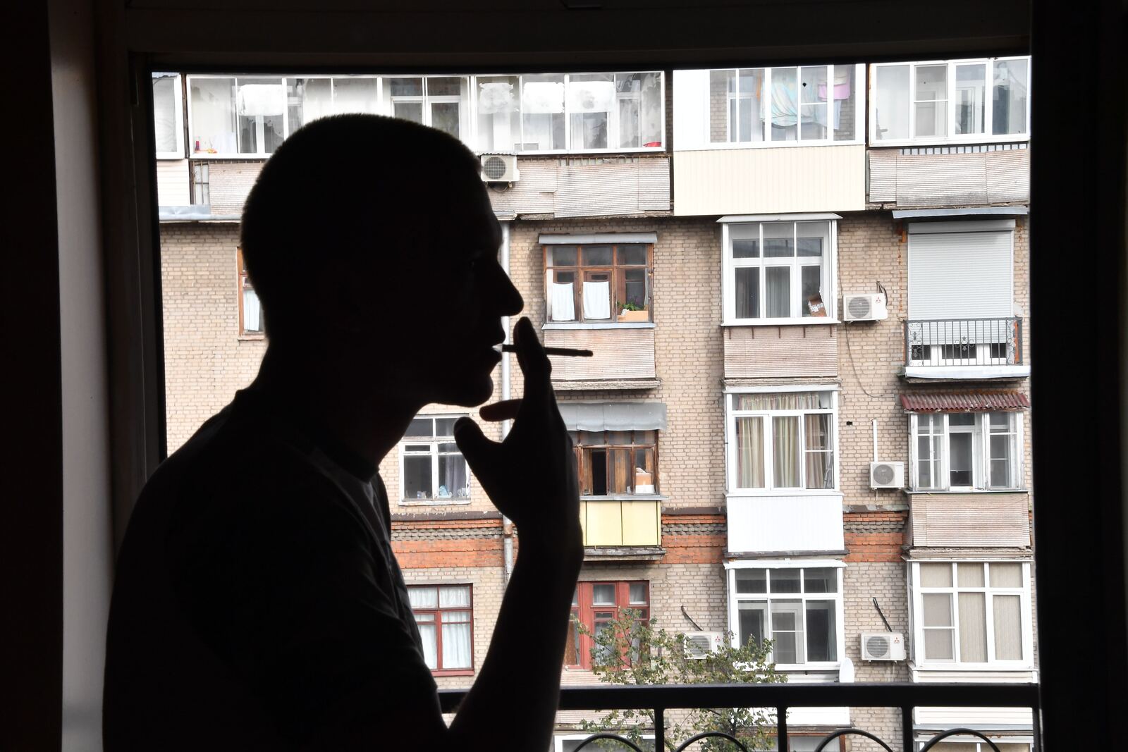 СЭС услуги цены. Дезинсекция и дезинфекция Dez-Tsentr