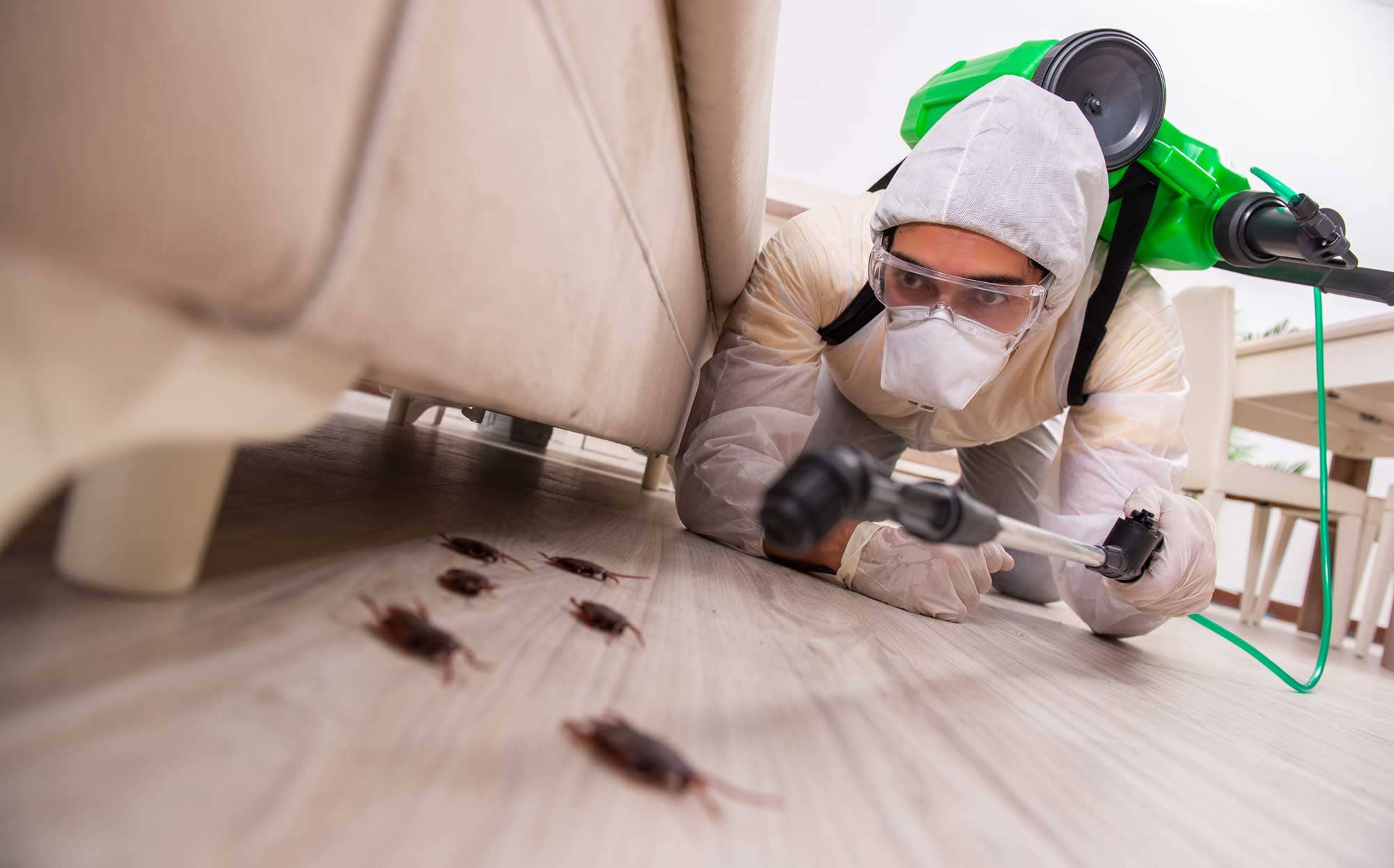 Дезинфекция помещений санитарно. Дезинсекция это комплекс мероприятий Dez-Tsentr