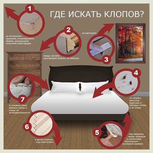 Оказание услуг дезинсекции. Дезинсекция гарантия Dez-Tsentr