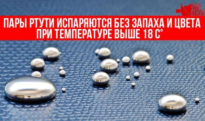 Заказать гербицидную обработку территории. Эпидемиологическая служба Dez-Tsentr
